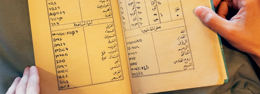 “A glimpse of knowledge”: Lessons from a Nineteenth-Century Arabic Textbook for Amharic