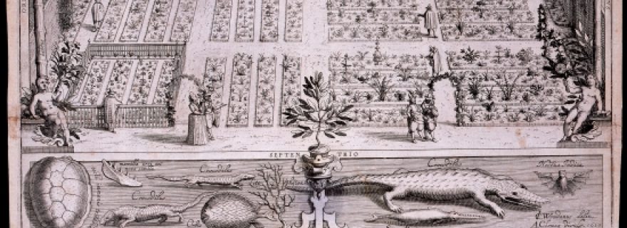 The 1610 Engravings of Leiden University: Botanical Garden