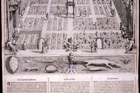 The 1610 Engravings of Leiden University: Botanical Garden